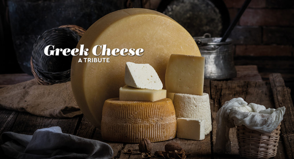 Cheese
