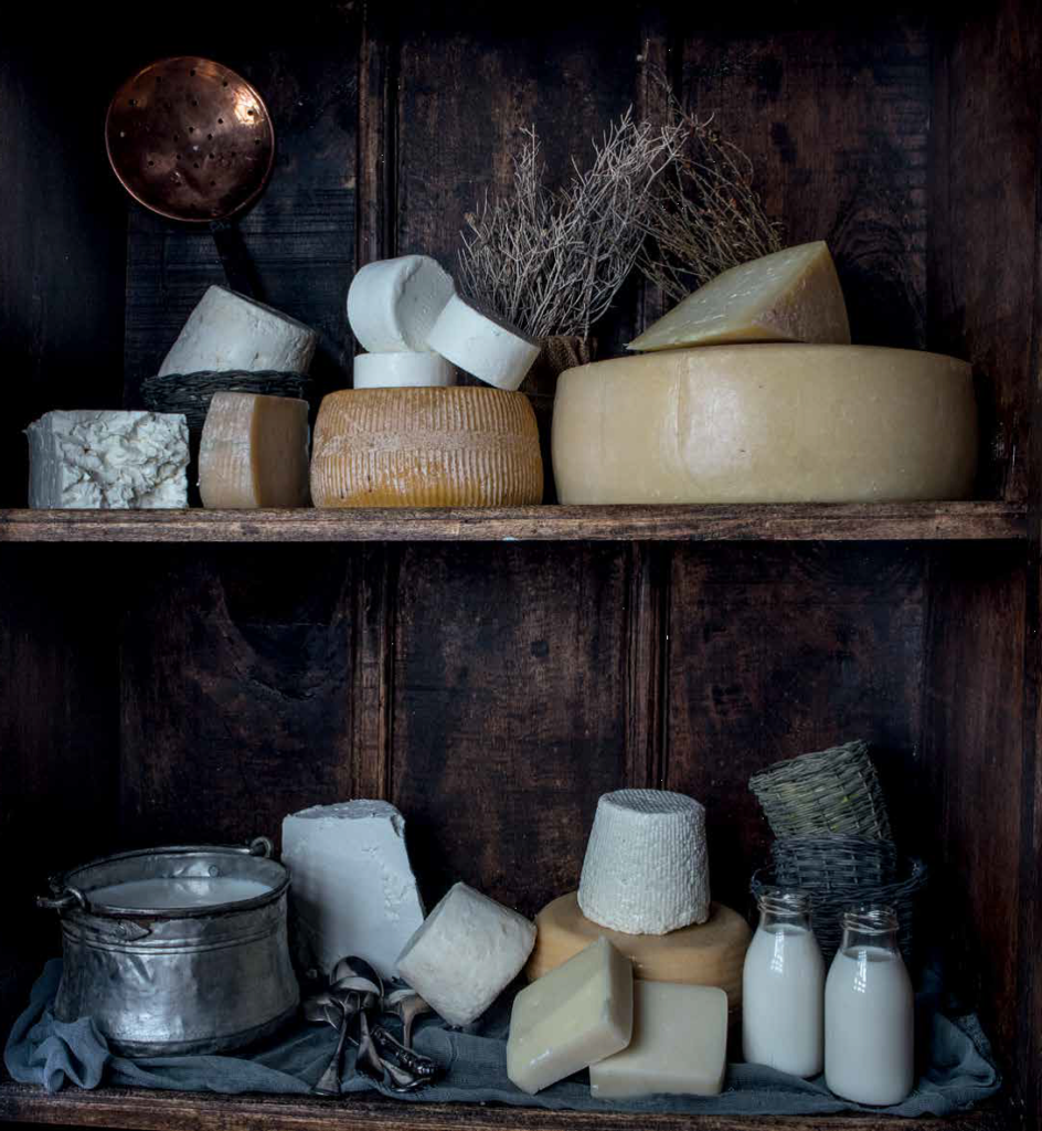 Your little handbook for cheese
